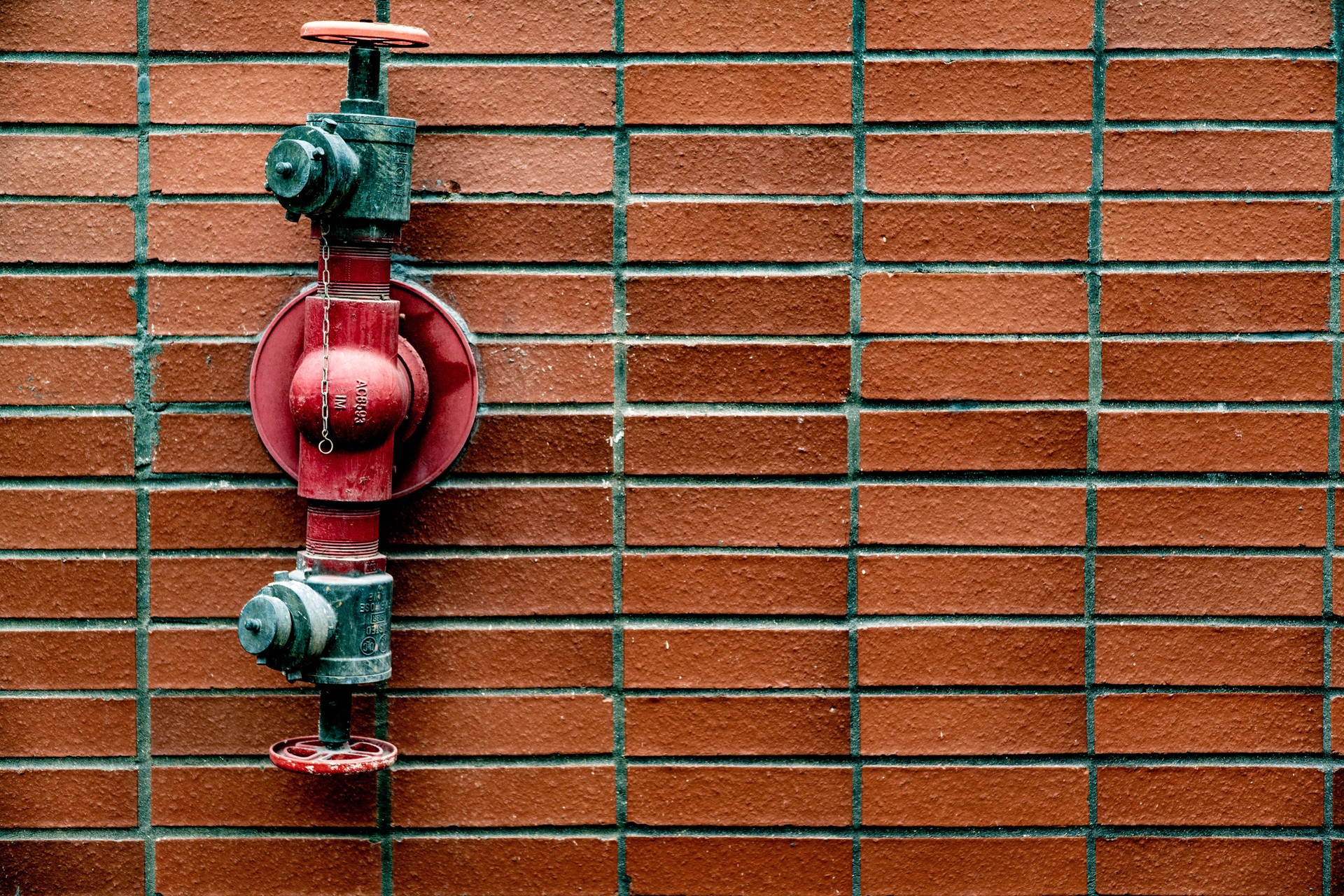 Brick Wall - Fire Hydrant